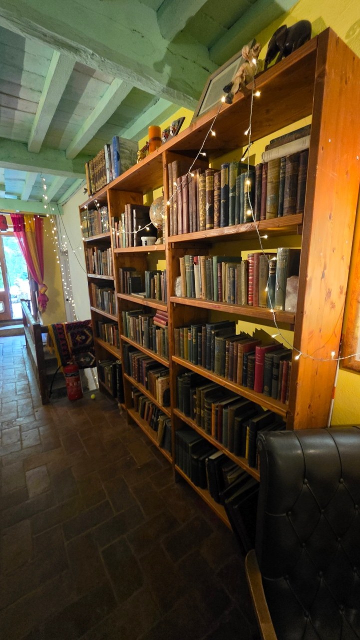 Books in the Vallico Academy library