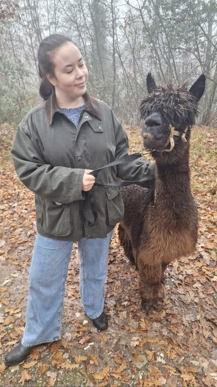 Saska walking beside a dark alpaca in woodland