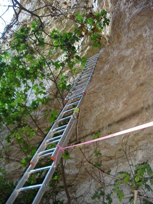 ladders1